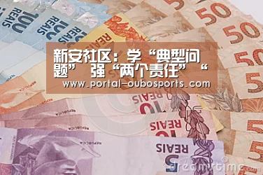 新安社区:学“典型问题” 强“两个责任”“欧博游戏”(图1) 欧博游戏