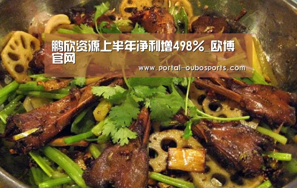 鹏欣资源上半年净利增498%_欧博官网(图1) 欧博
