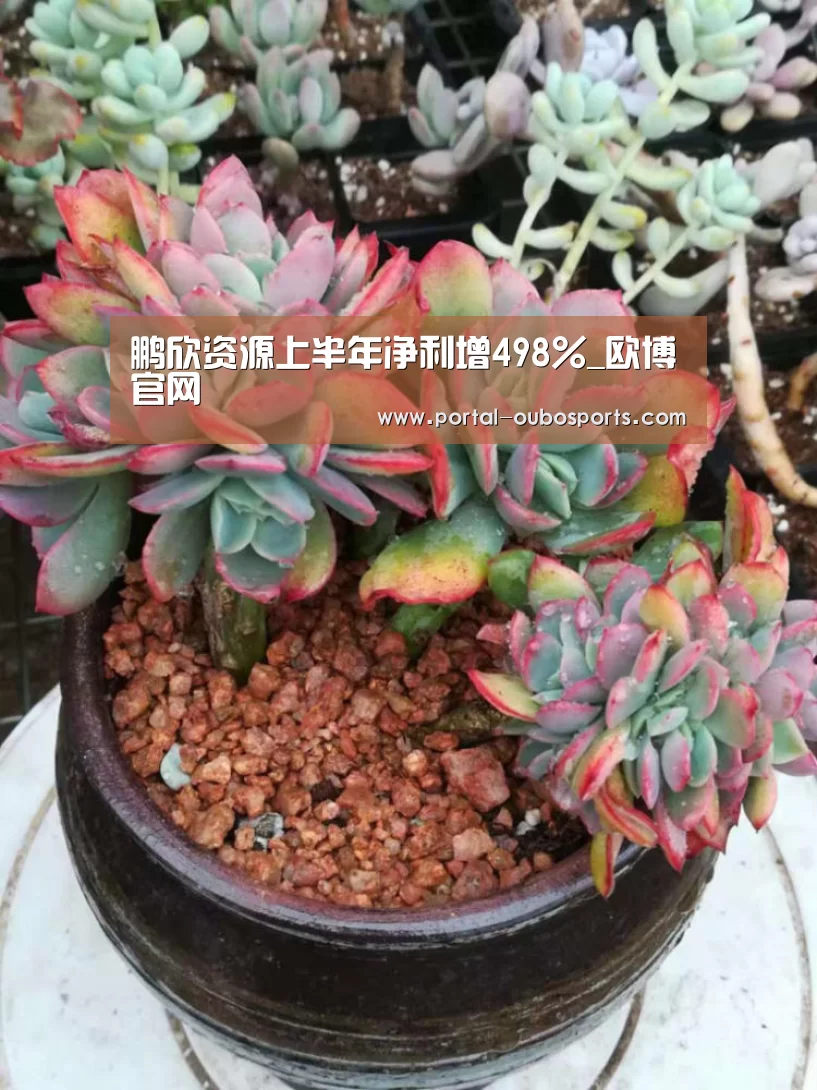 鹏欣资源上半年净利增498%_欧博官网(图3) 欧博游戏