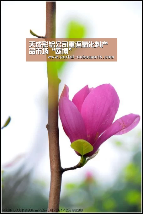 欧博游戏