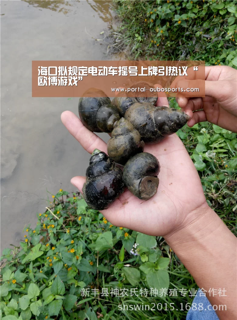 海口拟规定电动车摇号上牌引热议“欧博游戏”(图3) 欧博官网