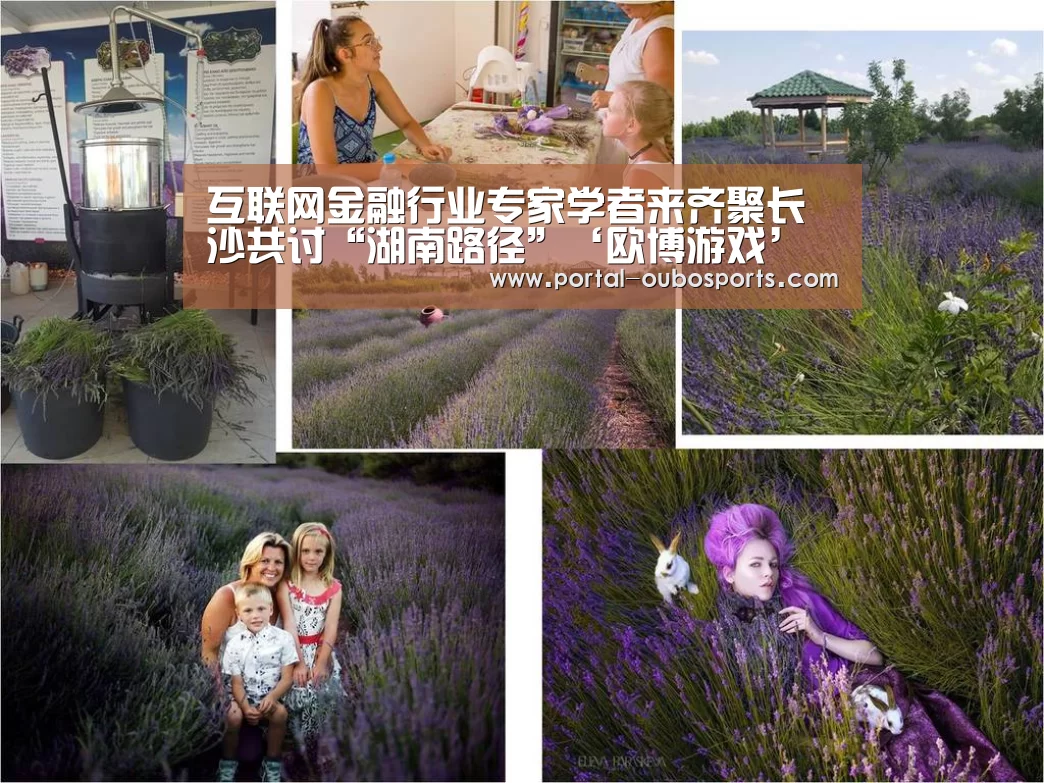 互联网金融行业专家学者来齐聚长沙共讨“湖南路径”‘欧博游戏’(图1) 欧博游戏