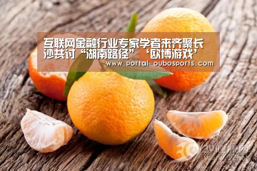 互联网金融行业专家学者来齐聚长沙共讨“湖南路径”‘欧博游戏’(图3) 欧博游戏