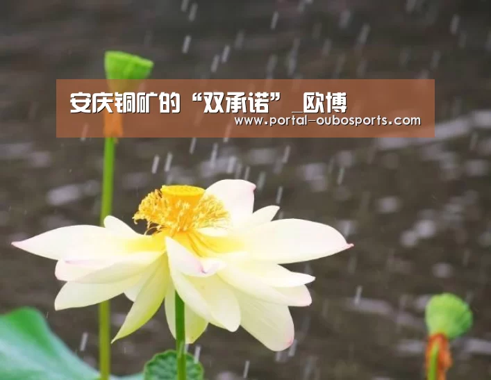安庆铜矿的“双承诺”_欧博(图4) 欧博游戏