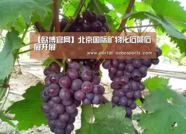 【欧博官网】北京国际矿物化石陨石展开展(图2) 欧博