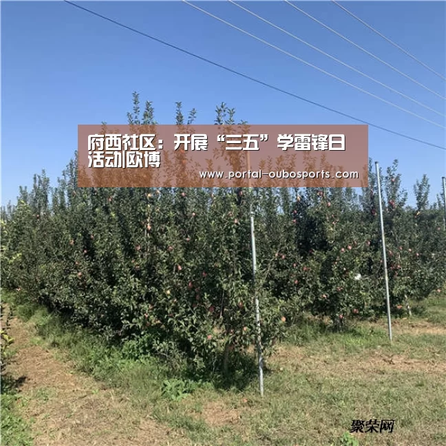 府西社区:开展“三五”学雷锋日活动|欧博(图2) 欧博官网